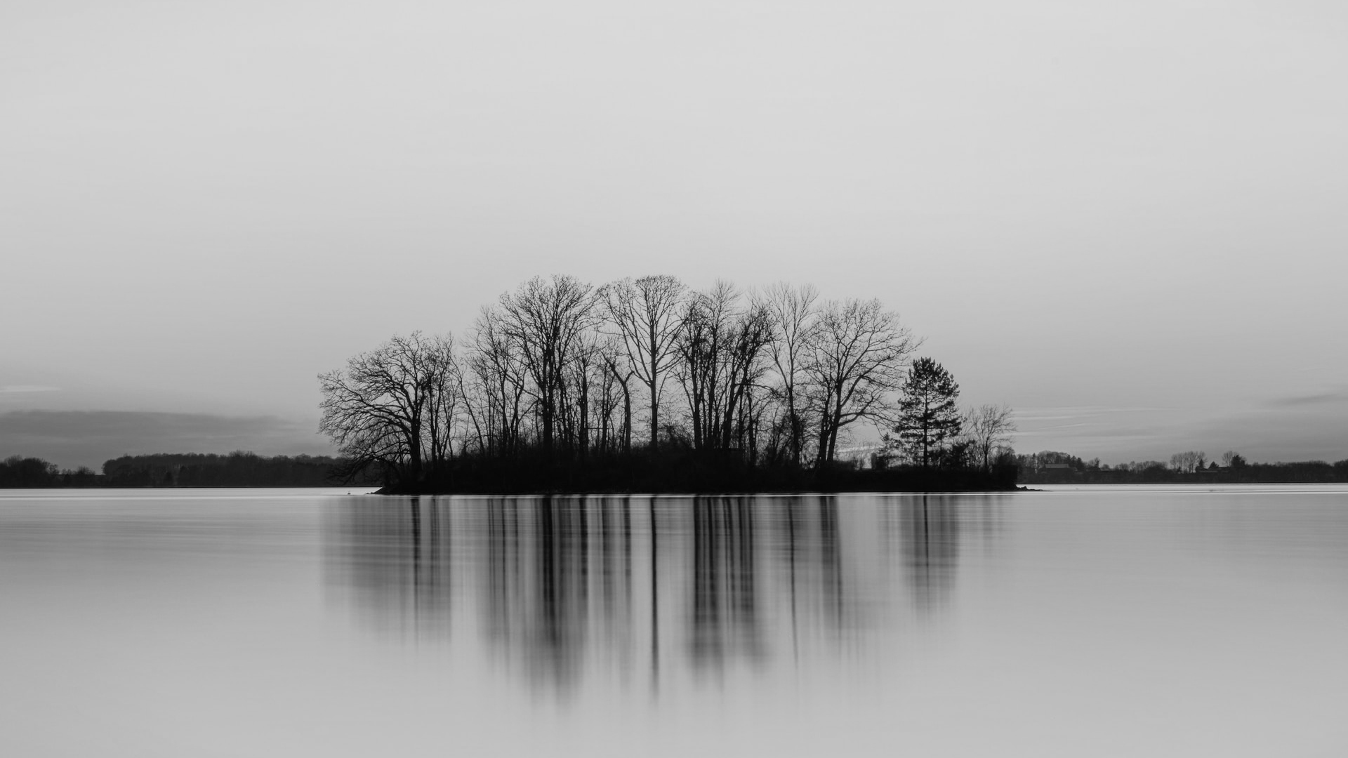 Corporate Video Services